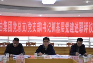 集團(tuán)召開2016年度黨總支（黨支部）書記抓基層黨建述職評(píng)議考核大會(huì)